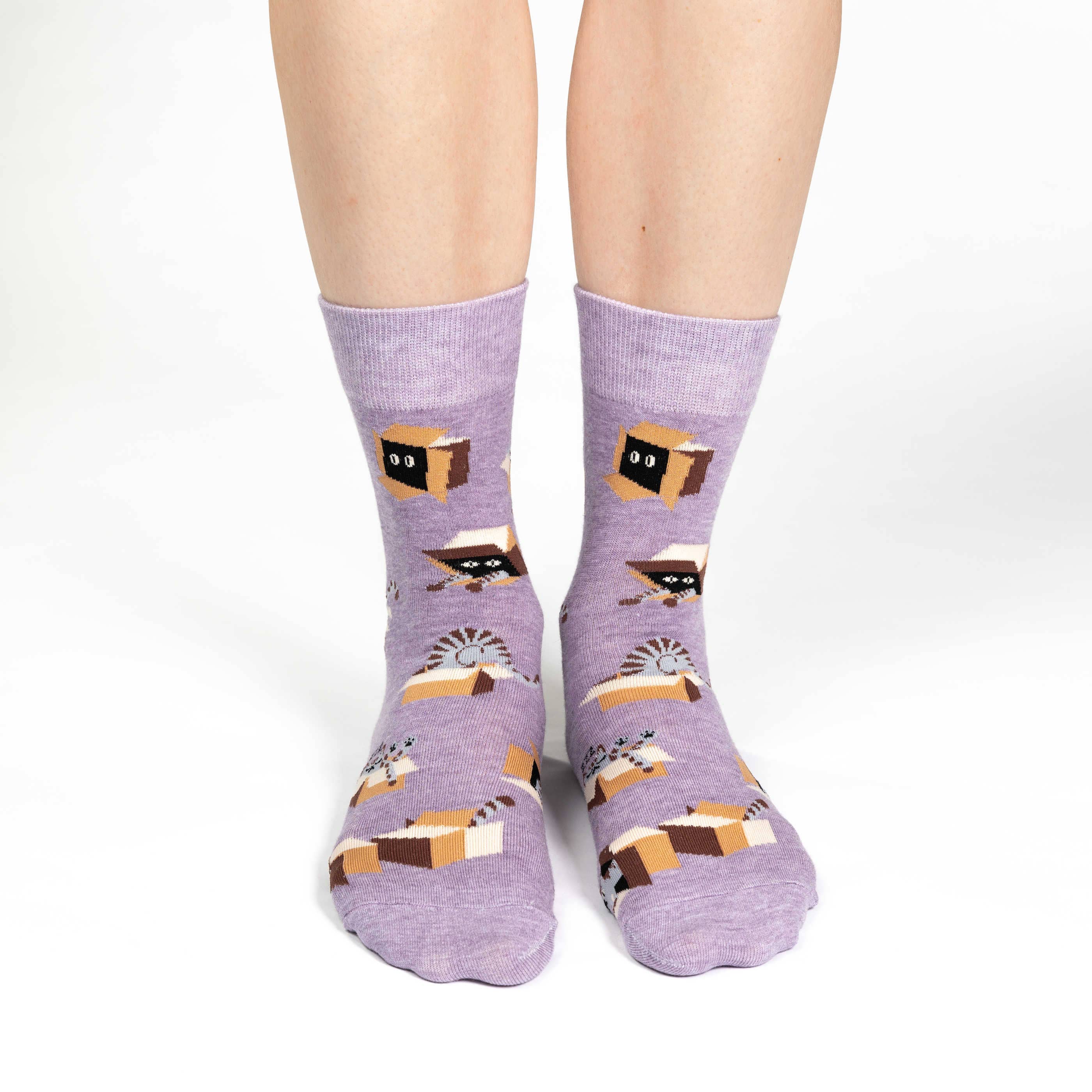 Women's Cat in a Box Socks: Shoe Size 5-9