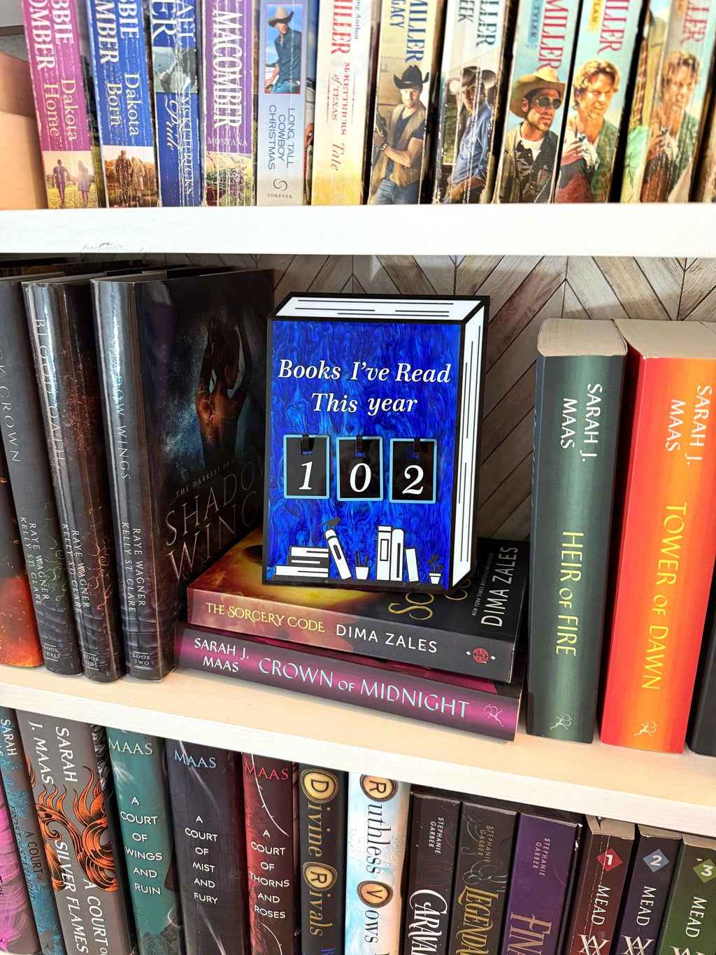 Acrylic Yearly Book Counter for Bookshelf Decor