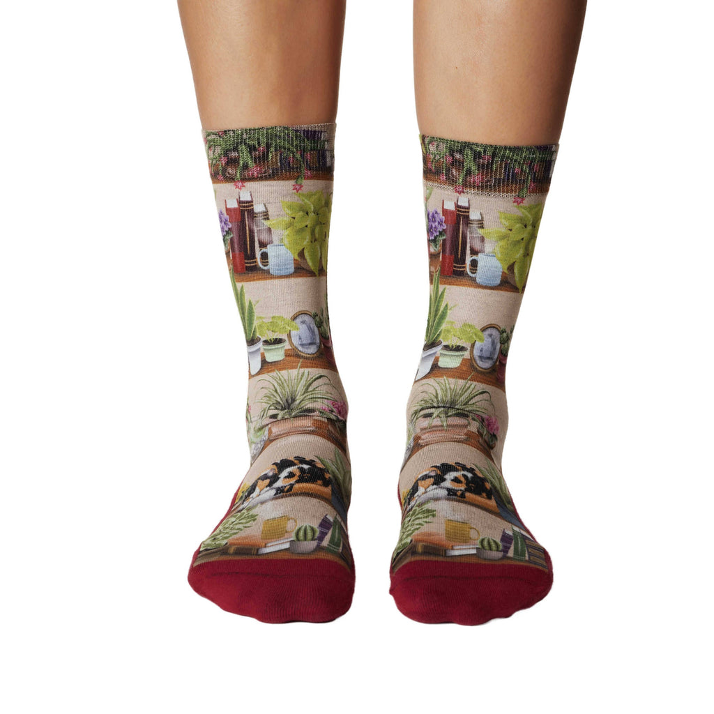 Women's Bookshelf of Plants Socks: Shoe Size 5-9