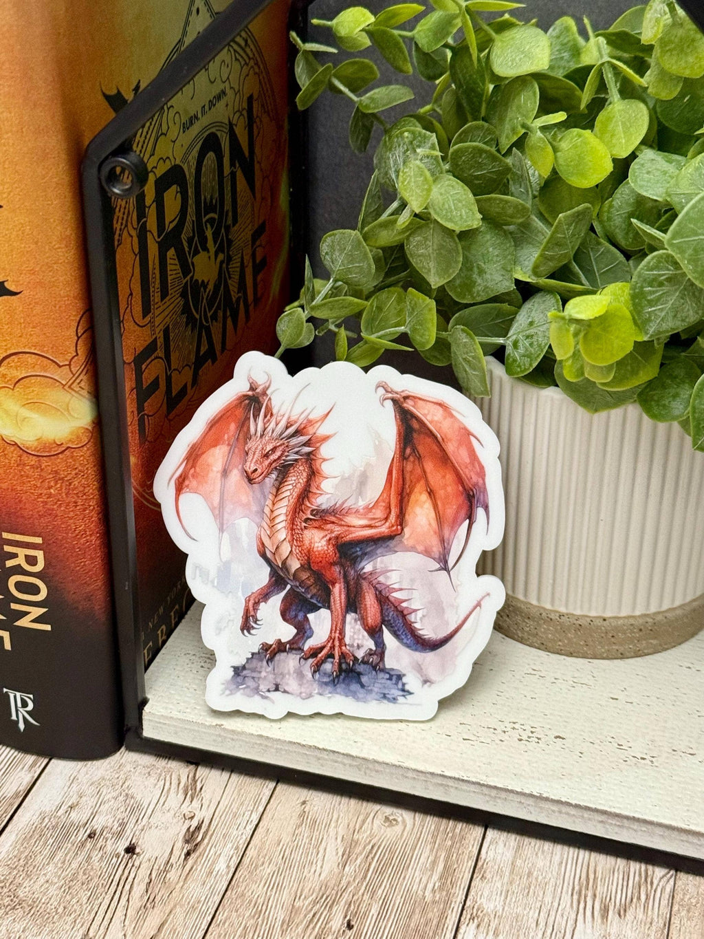 Dragon Rider Bookshelf Decor and Reading Gift