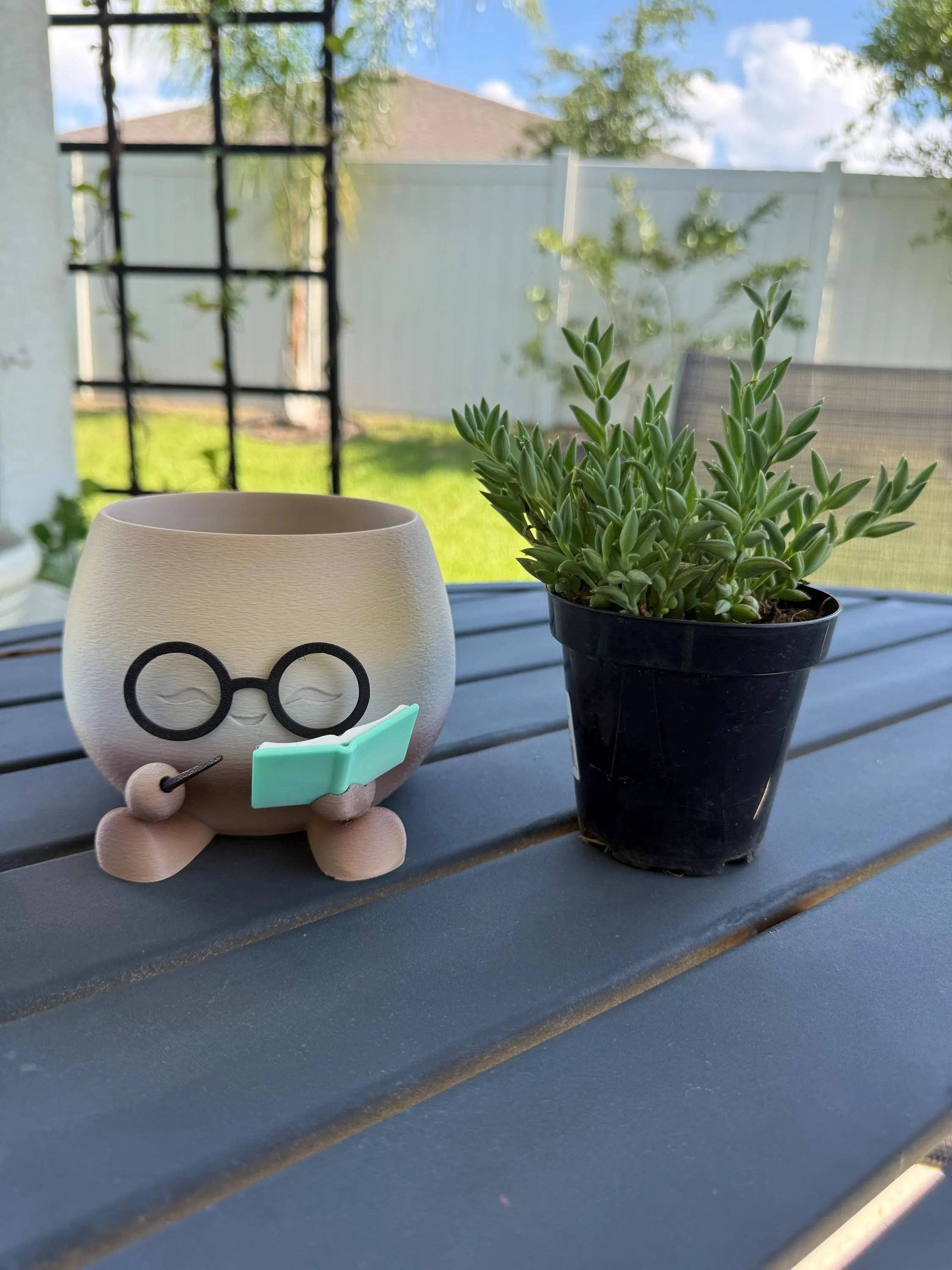 Cute Reading Planters Bookshelf Decor: Silk Gold / Small / Reader