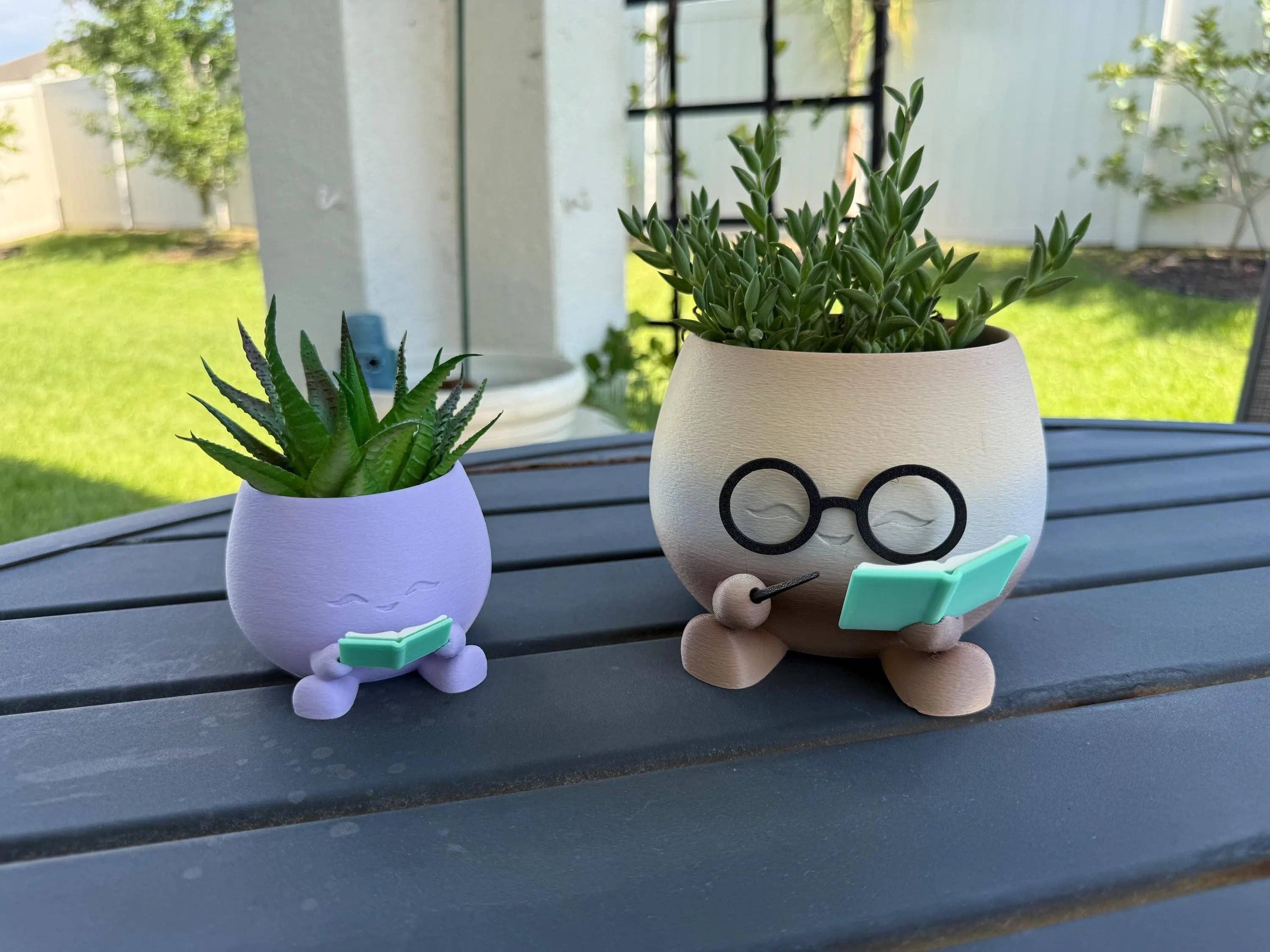 Cute Reading Planters Bookshelf Decor: Silk Gold / Small / Reader