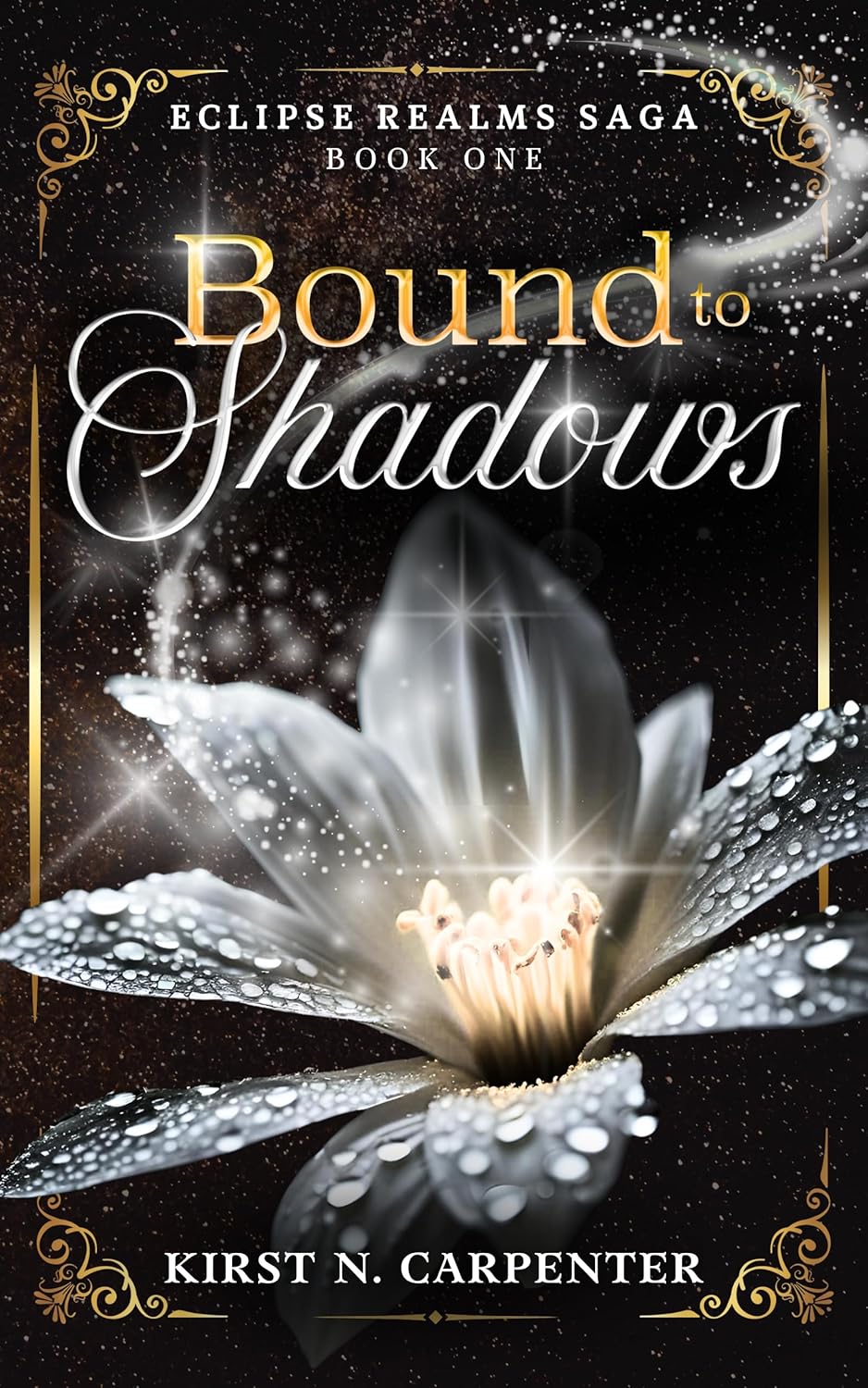 Bound to Shadows (Eclipse Realms Saga Book 1)