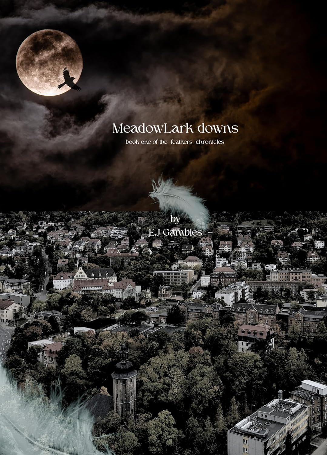 Meadowlark Downs (Feathers Series Book 1)