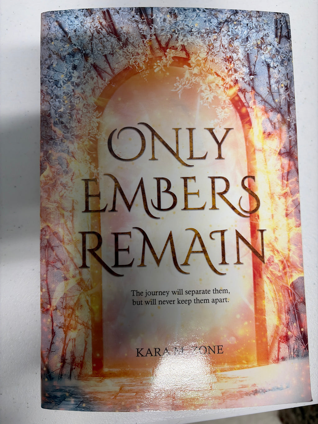 Only Embers Remain: Book Three in the Trium Perfectum Series *signed*