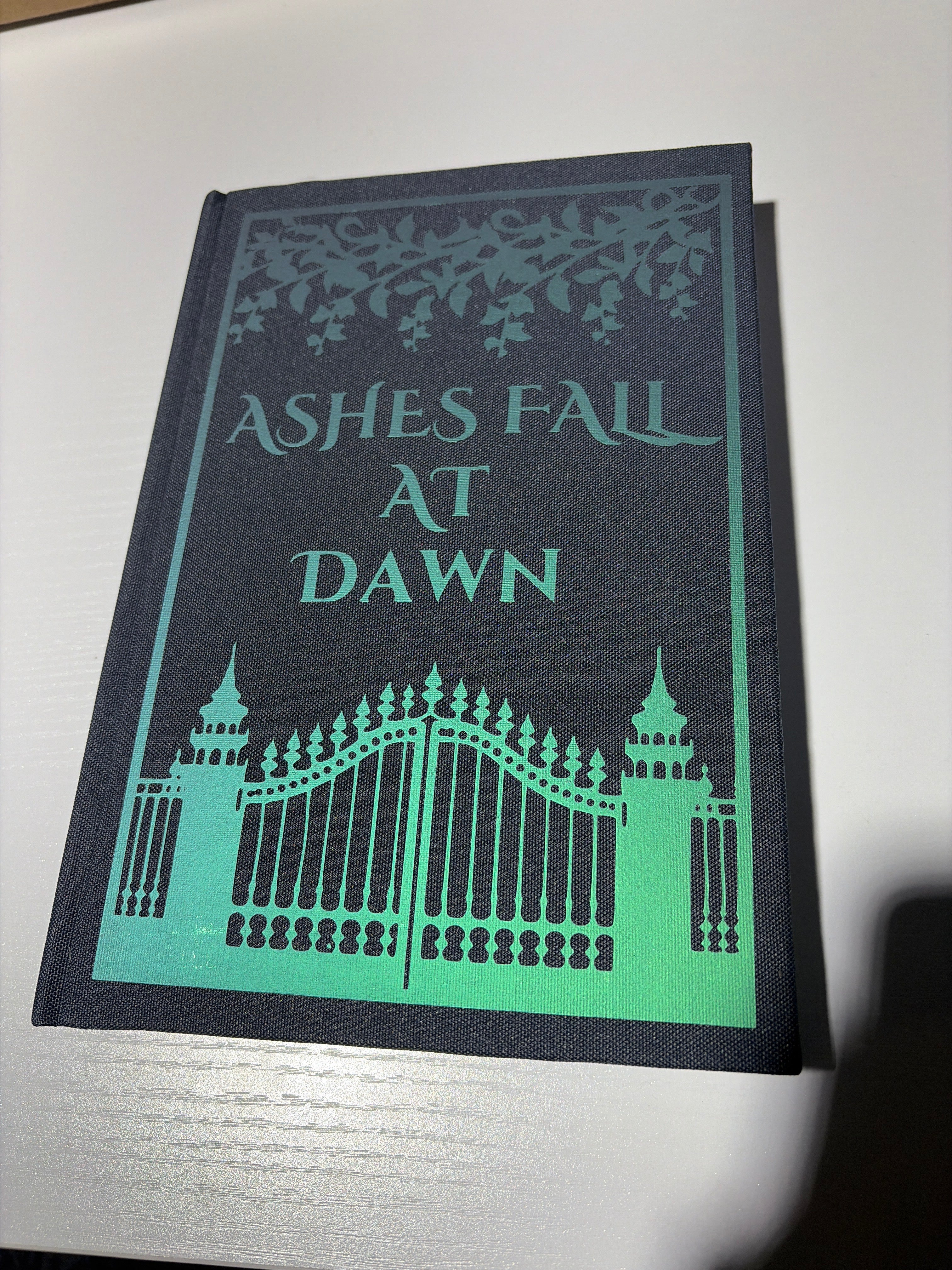 Ashes Fall at Dawn *book 2* (signed with goodies)