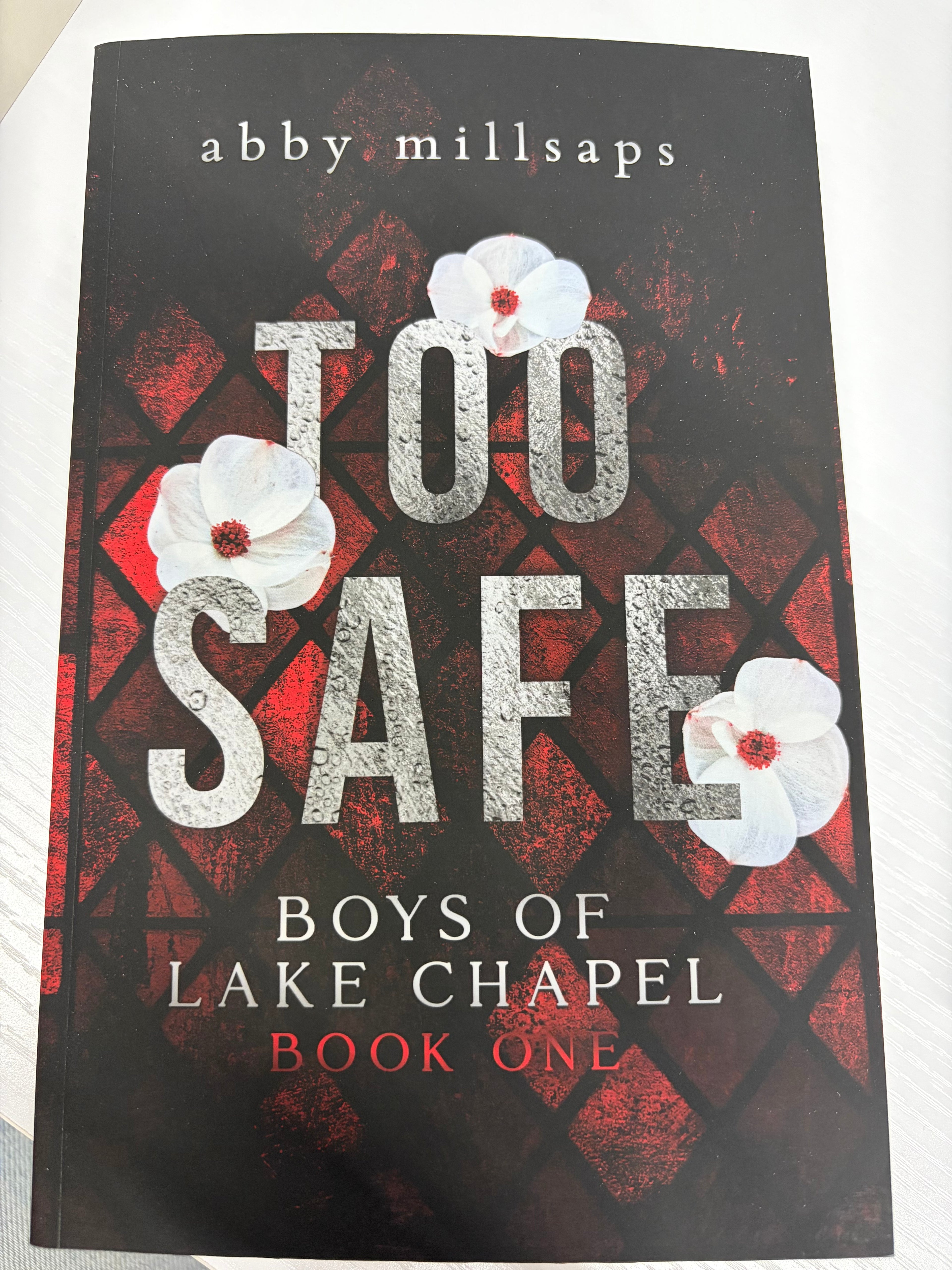 Too Safe (Boys of Lake Chapel Book 1)