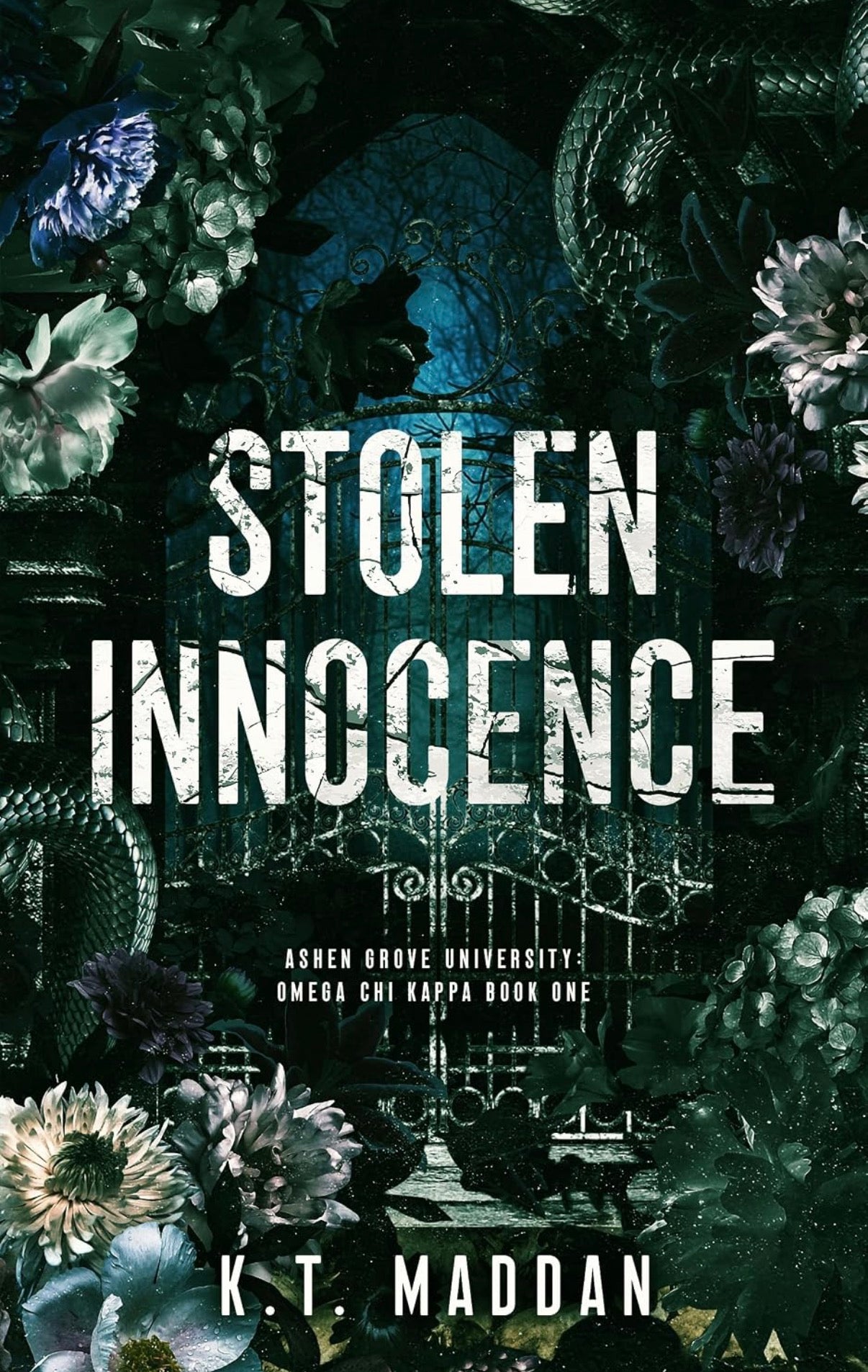 Stolen Innocence