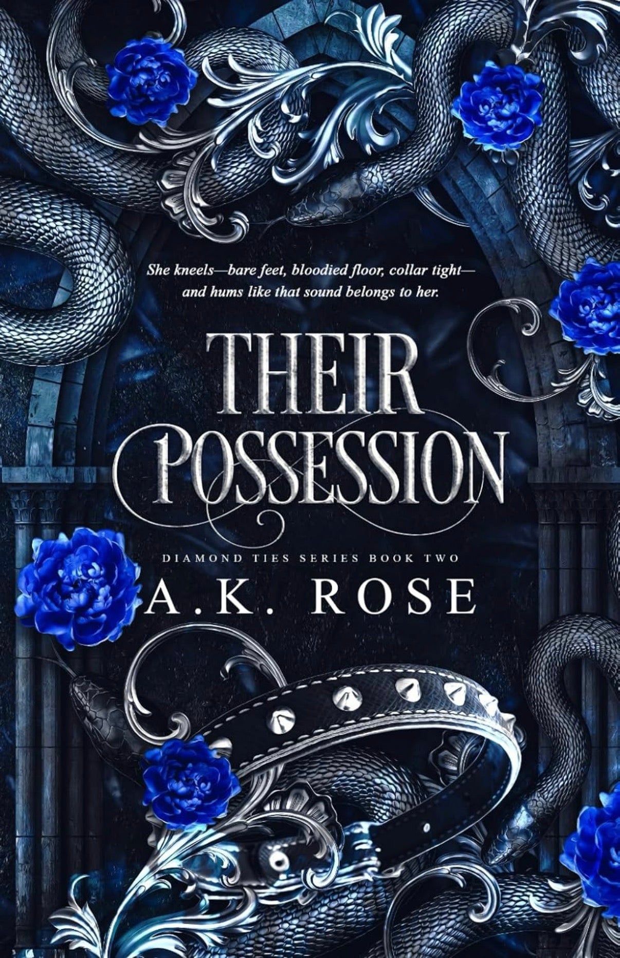 Their Possession ( Diamond ties series Book 2)