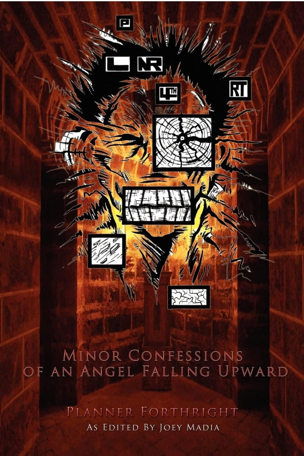 Minor Confessions Of An Angel Falling Upward *signed*