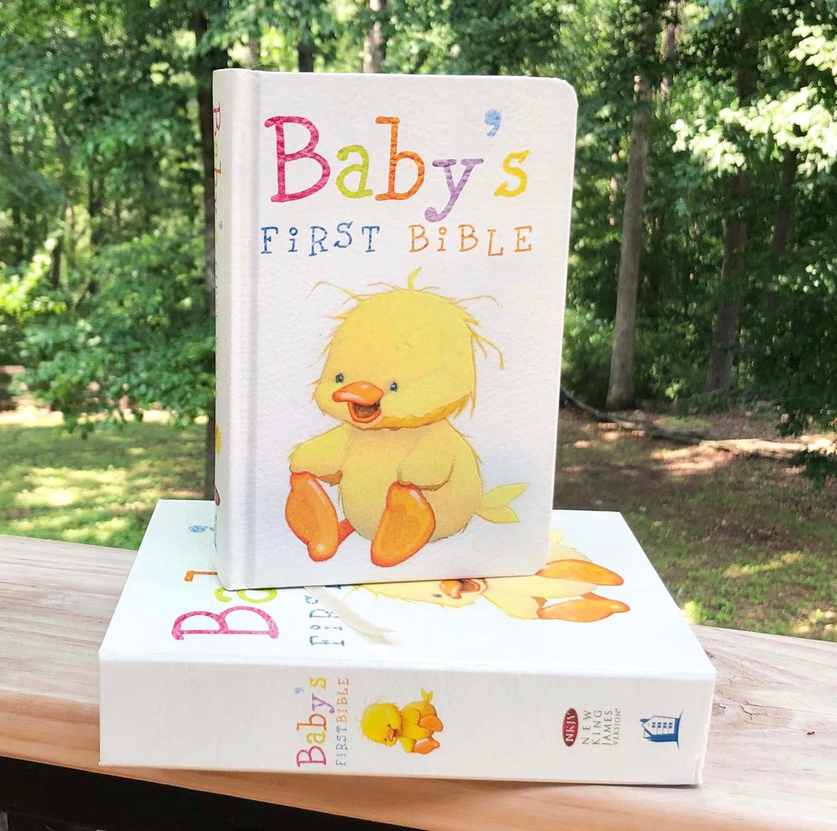 Baby’s First Bible