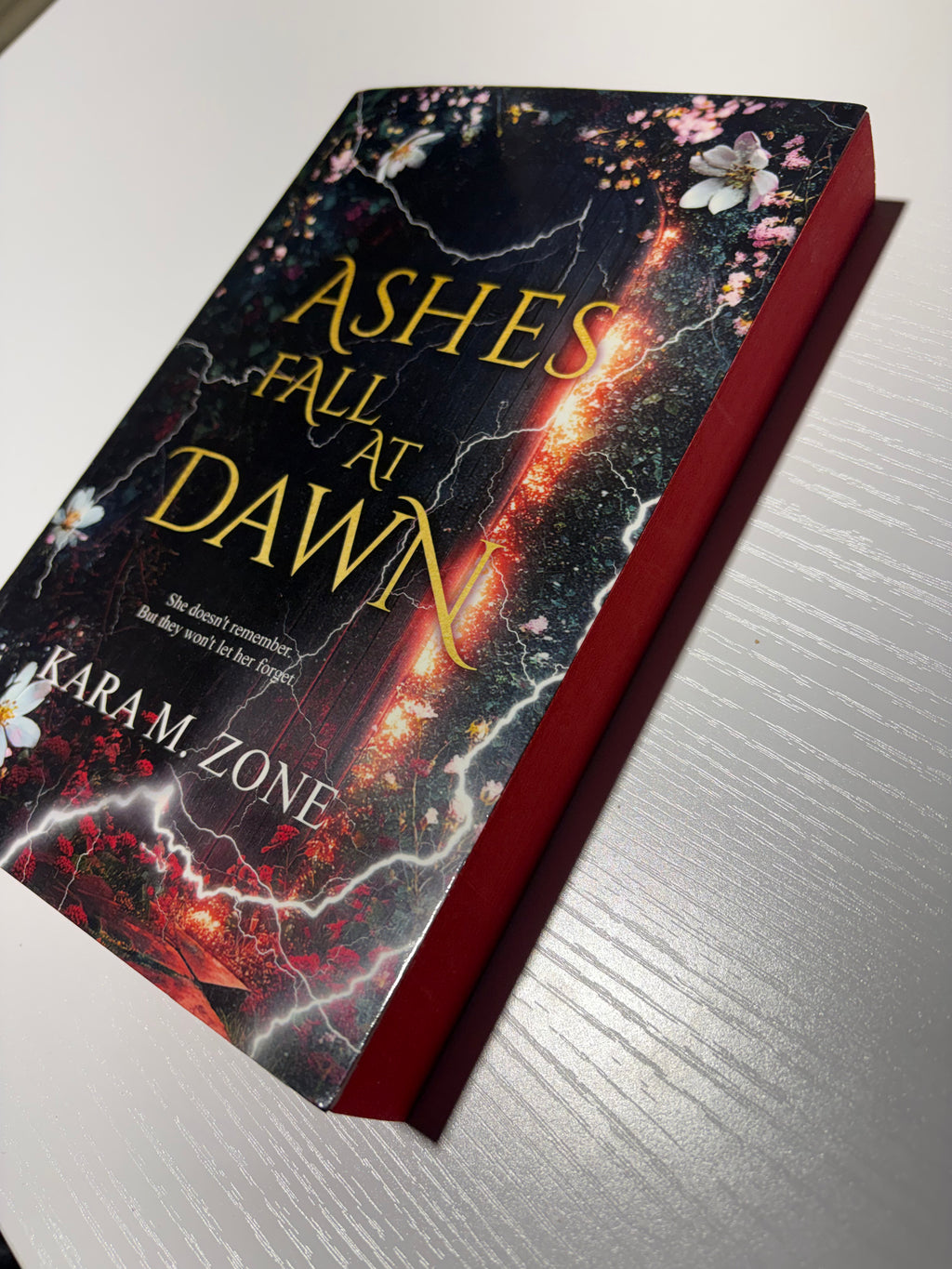 Ashes Fall at Dawn *book 2* (signed with goodies)
