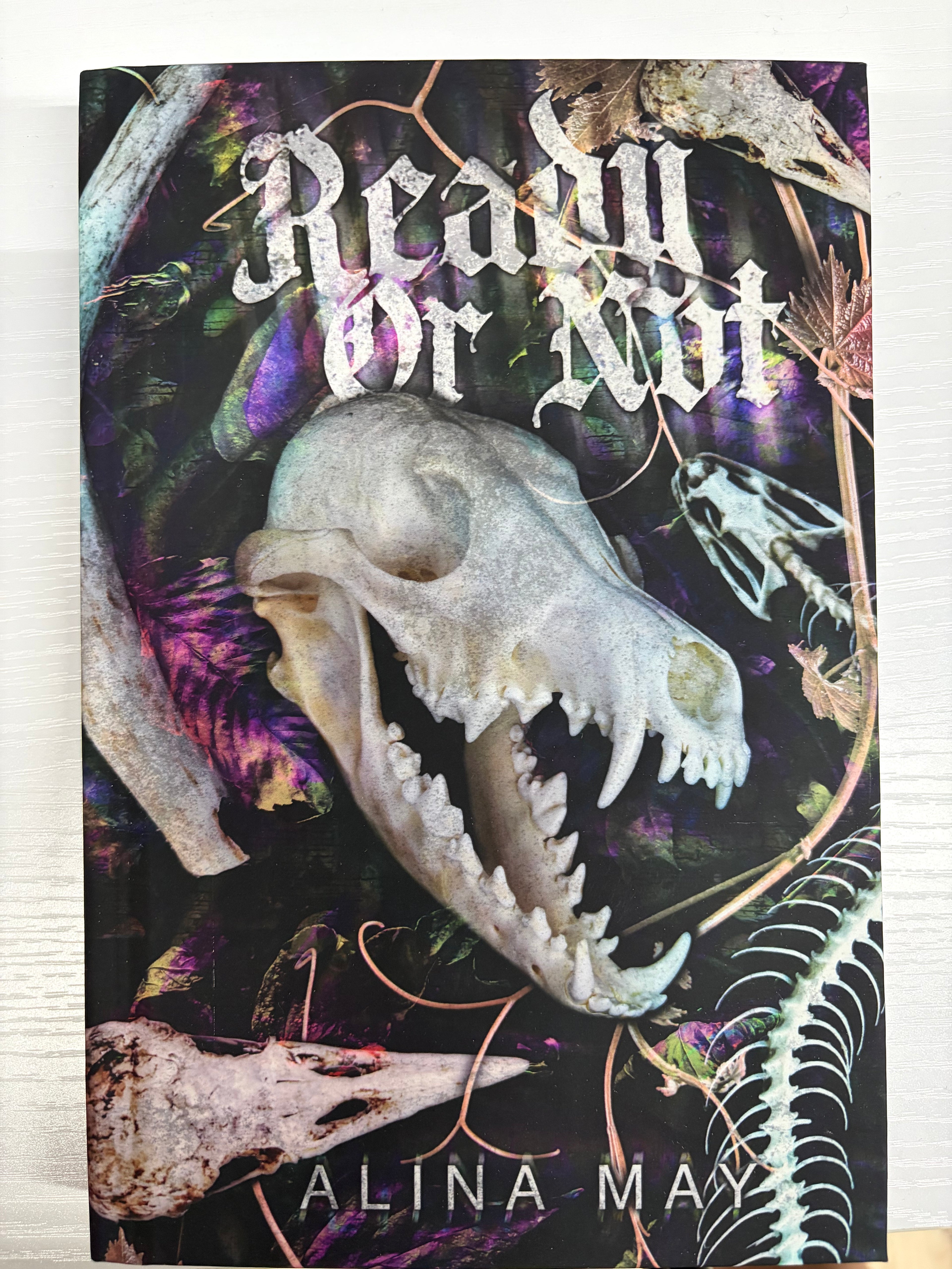 Ready or Not (book 2)
