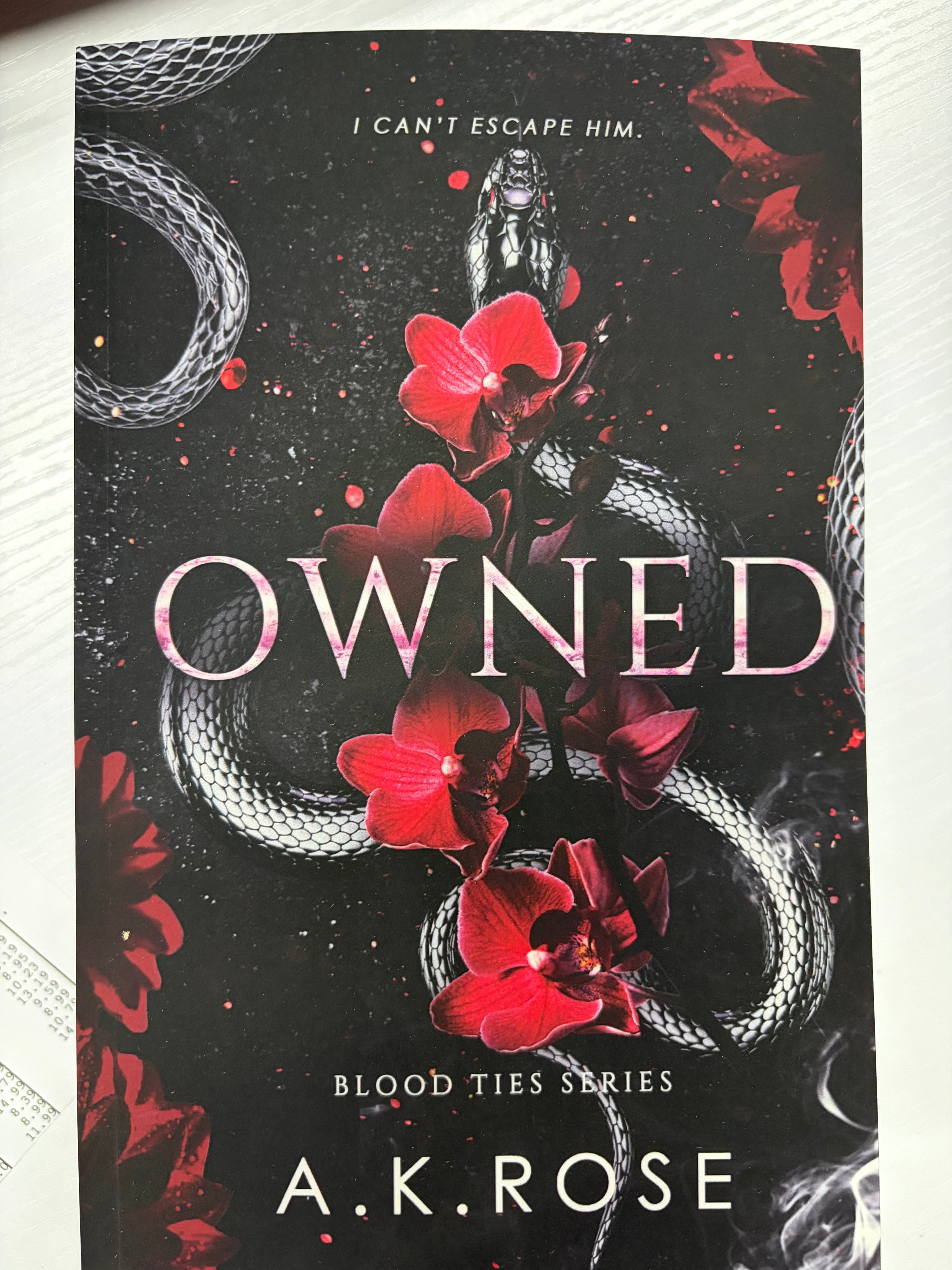 Owned (Blood Ties Series)