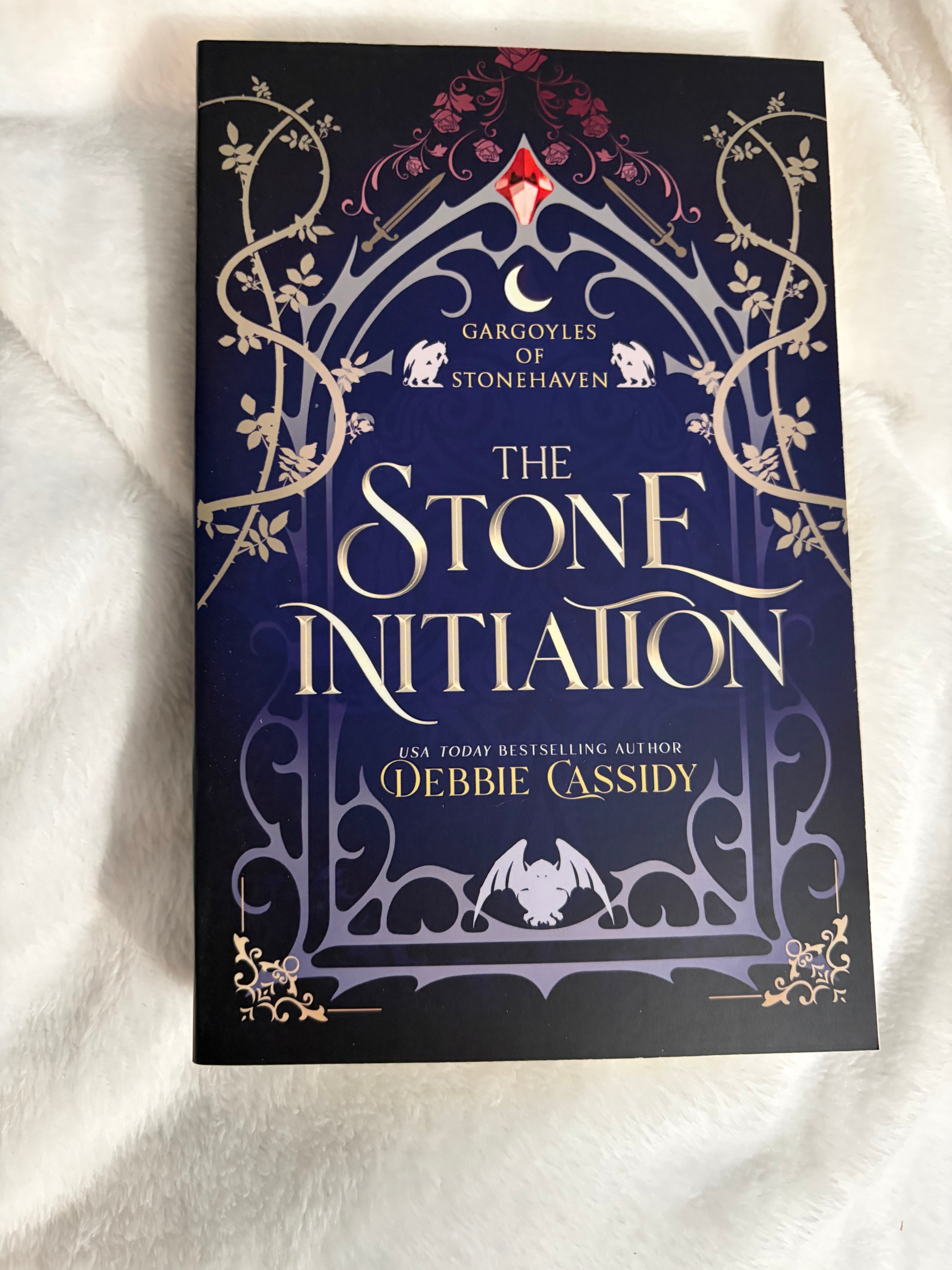 The Stone Initiation (book 1)