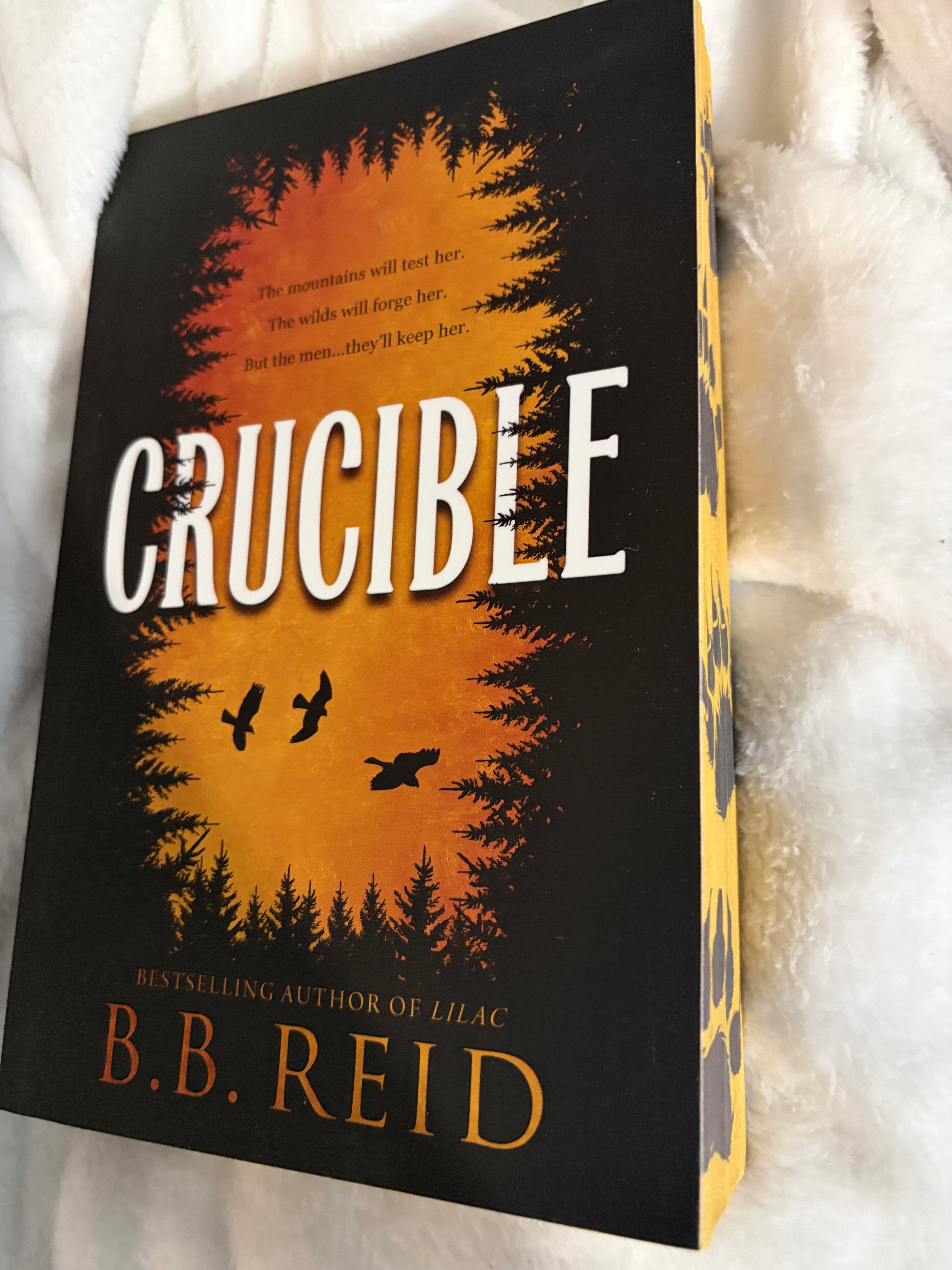 Crucible (book 1)