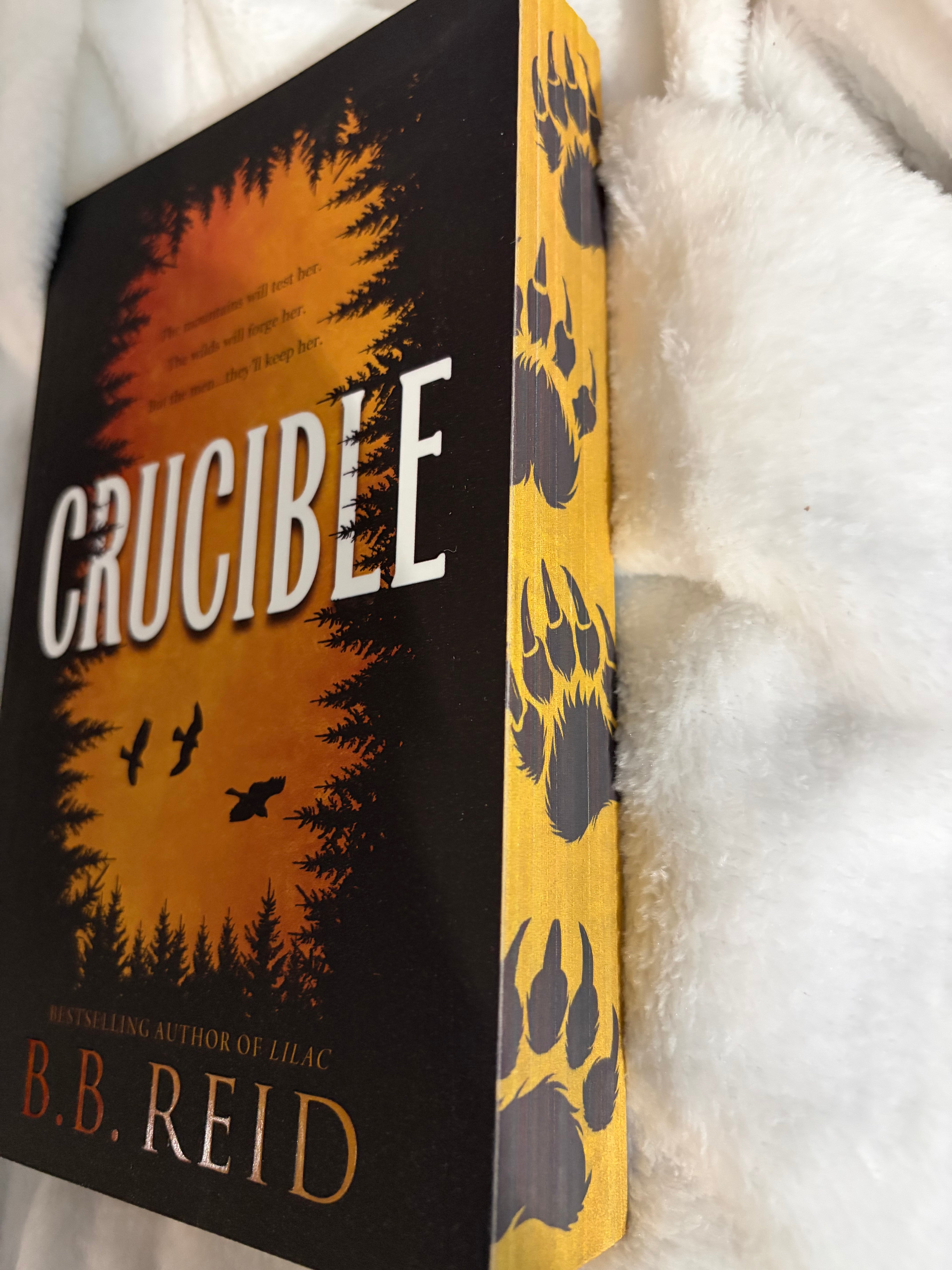 Crucible (book 1)