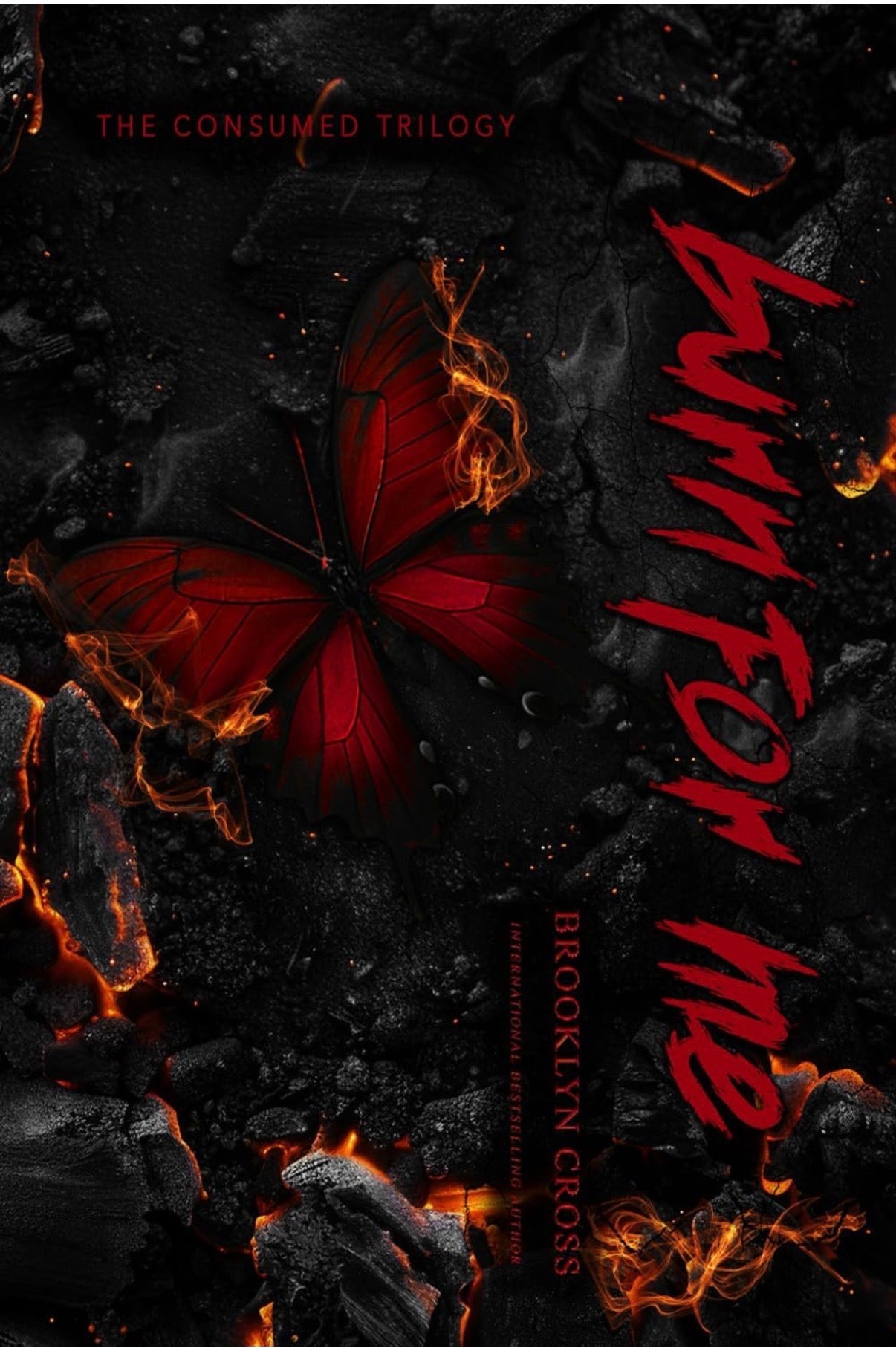 Burn For Me *RED PAGES - SIGNED* (book 1)