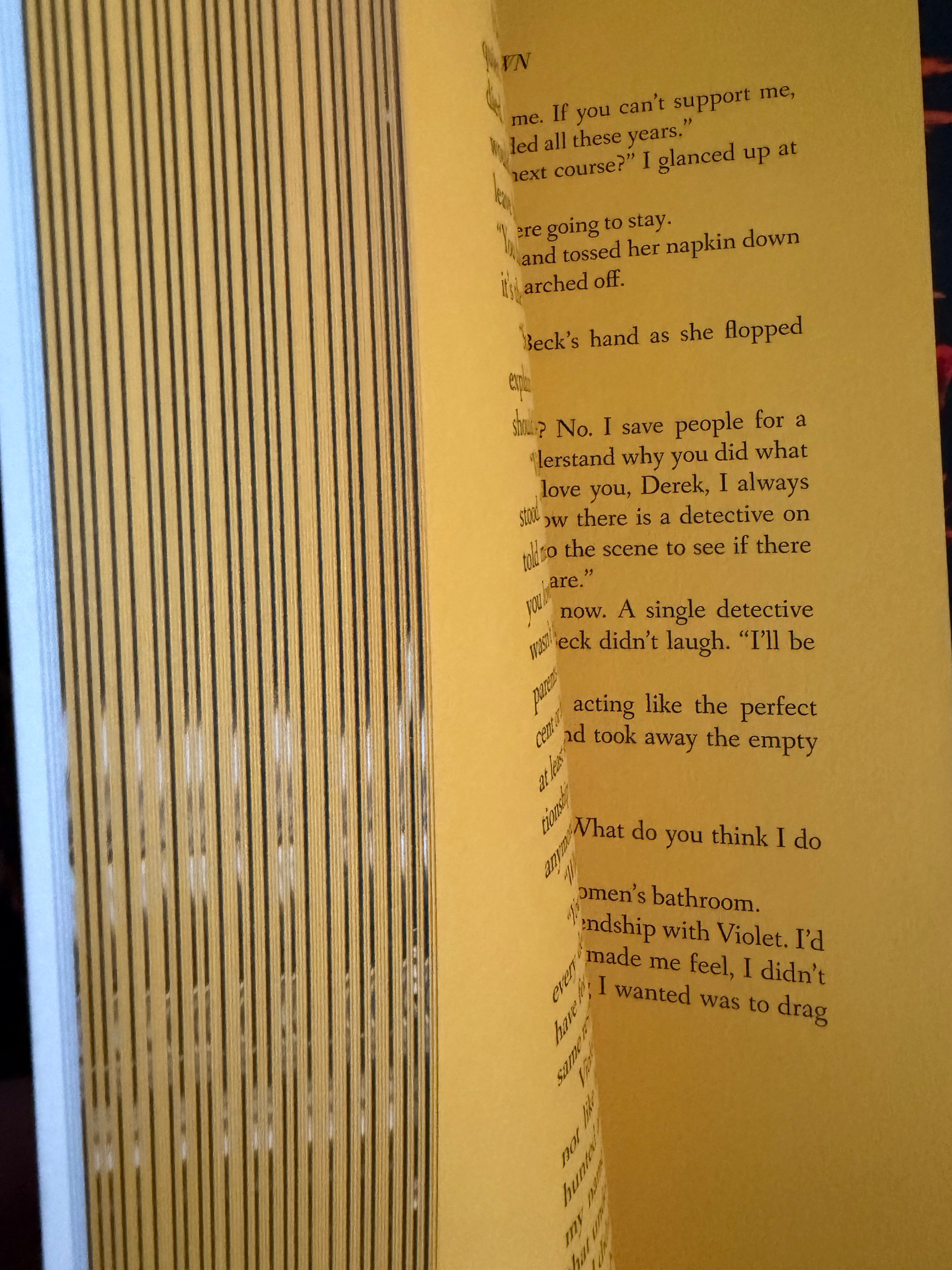 Burn Me Down YELLOW PAGES *signed* book 3