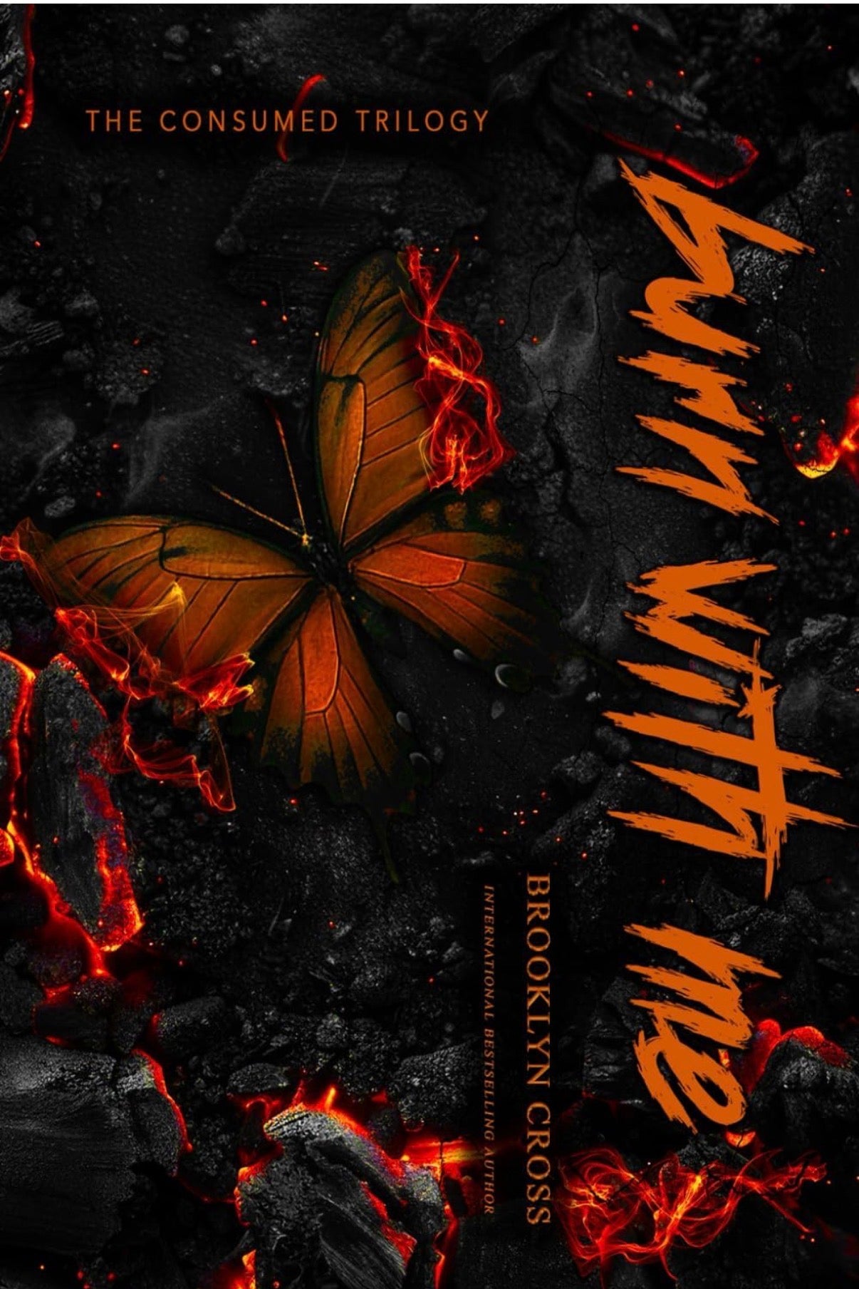 Burn With Me (ORANGE PAGES *signed*) book two