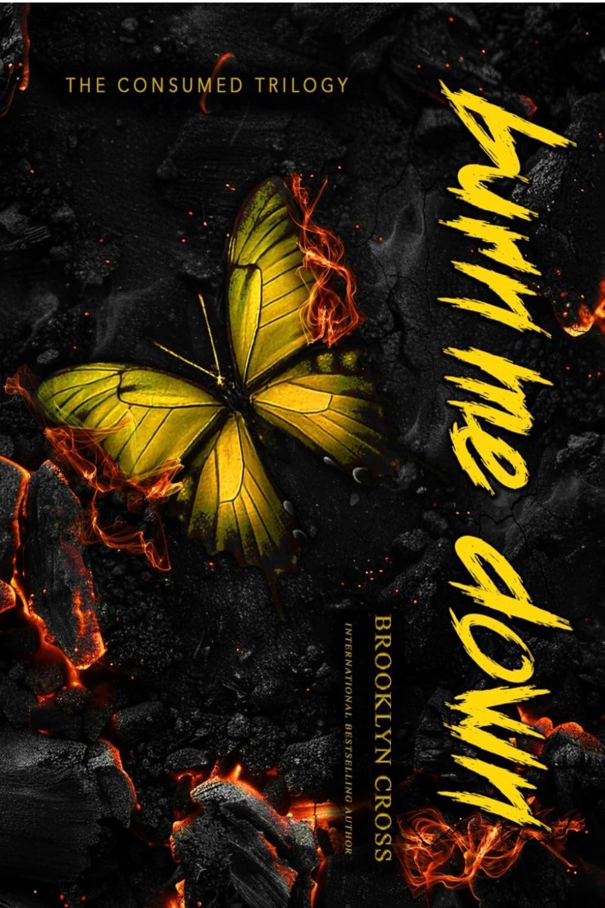 Burn Me Down YELLOW PAGES *signed* book 3