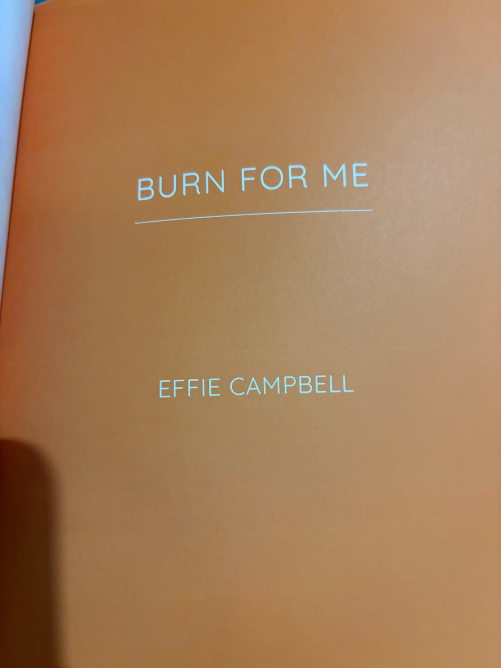 Burn For Me *colored pages*