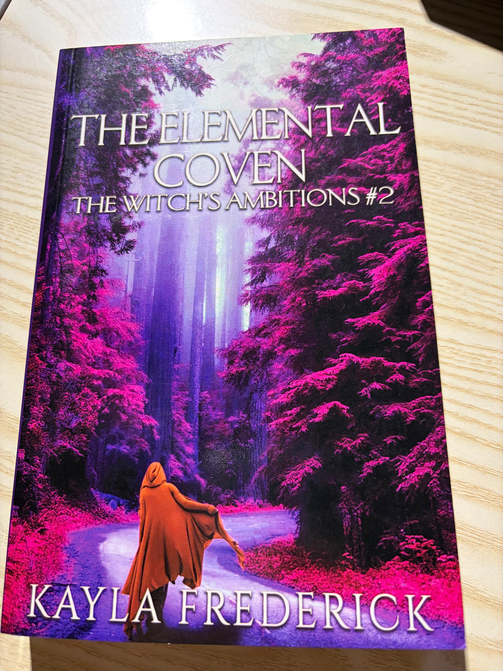 The Elemental Coven: The Witch’s Ambitions #2
