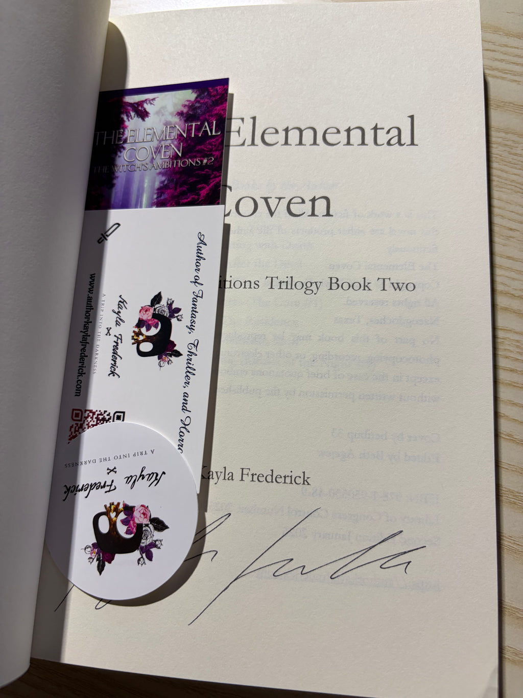 The Elemental Coven: The Witch’s Ambitions #2