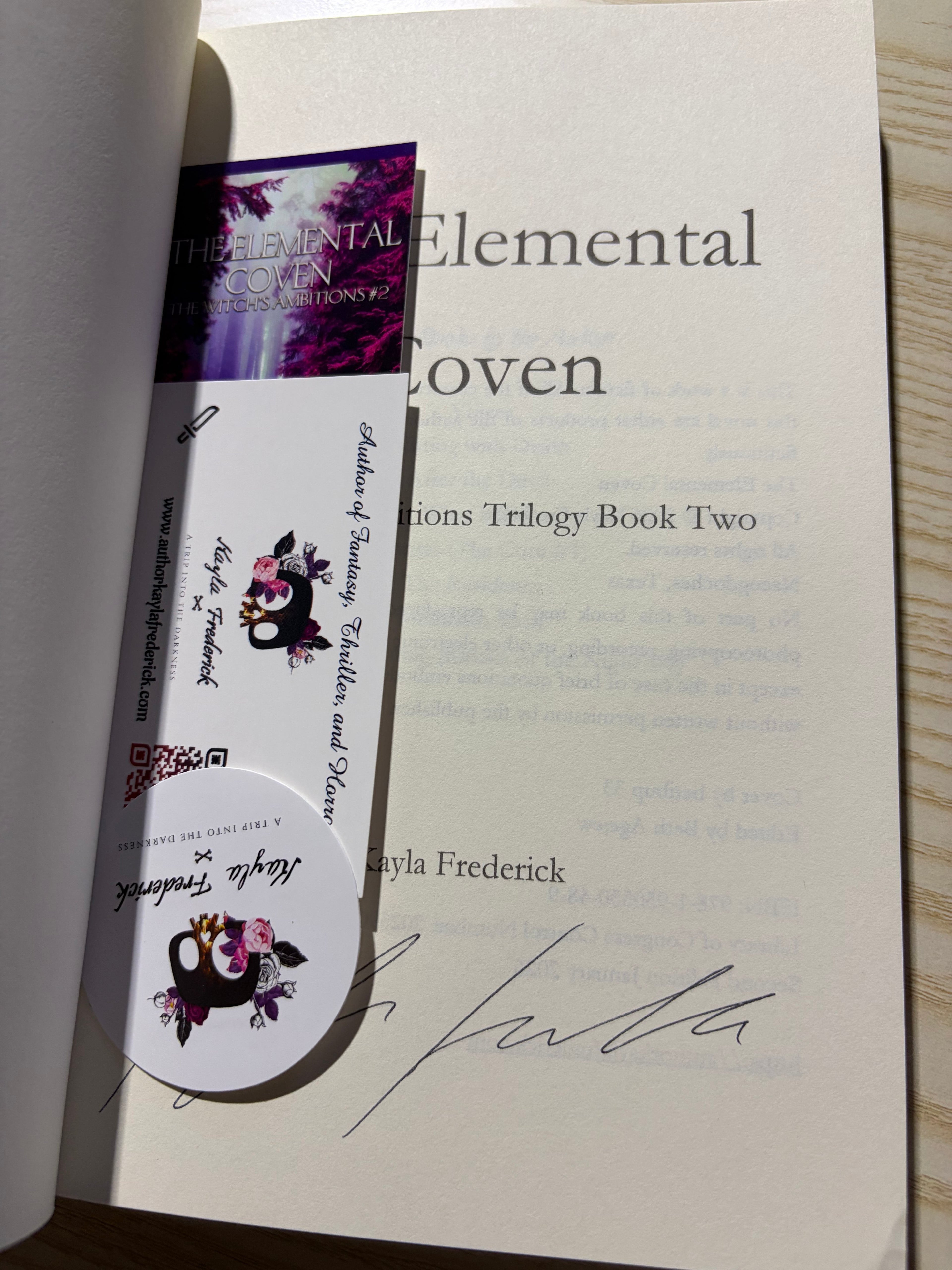 The Elemental Coven: The Witch’s Ambitions #2