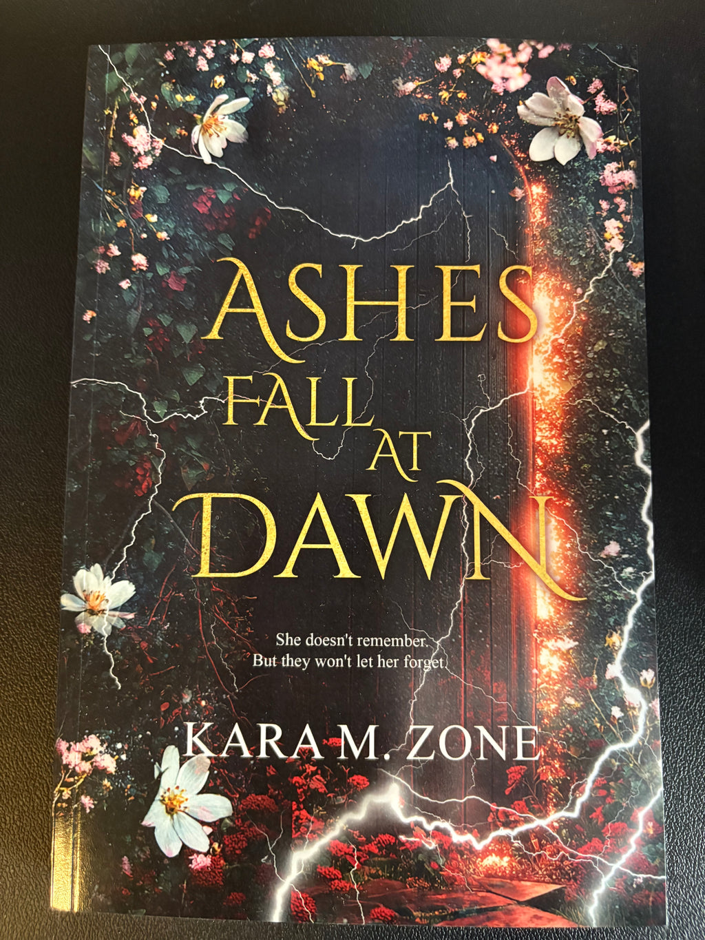 Ashes Fall at Dawn *book 2* (signed with goodies)