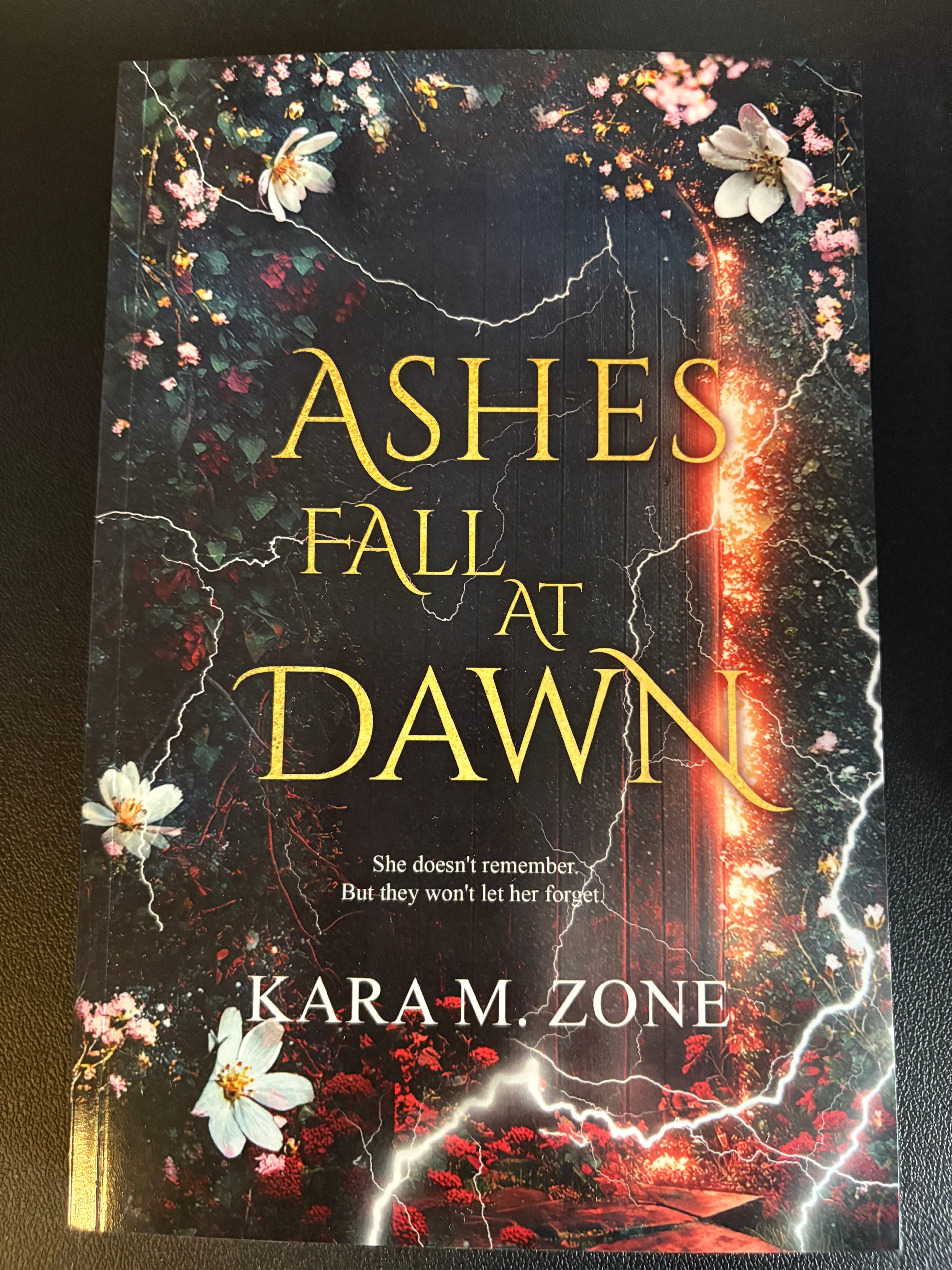 Ashes Fall at Dawn *book 2* (signed with goodies)