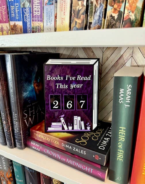 Acrylic Yearly Book Counter for Bookshelf Decor