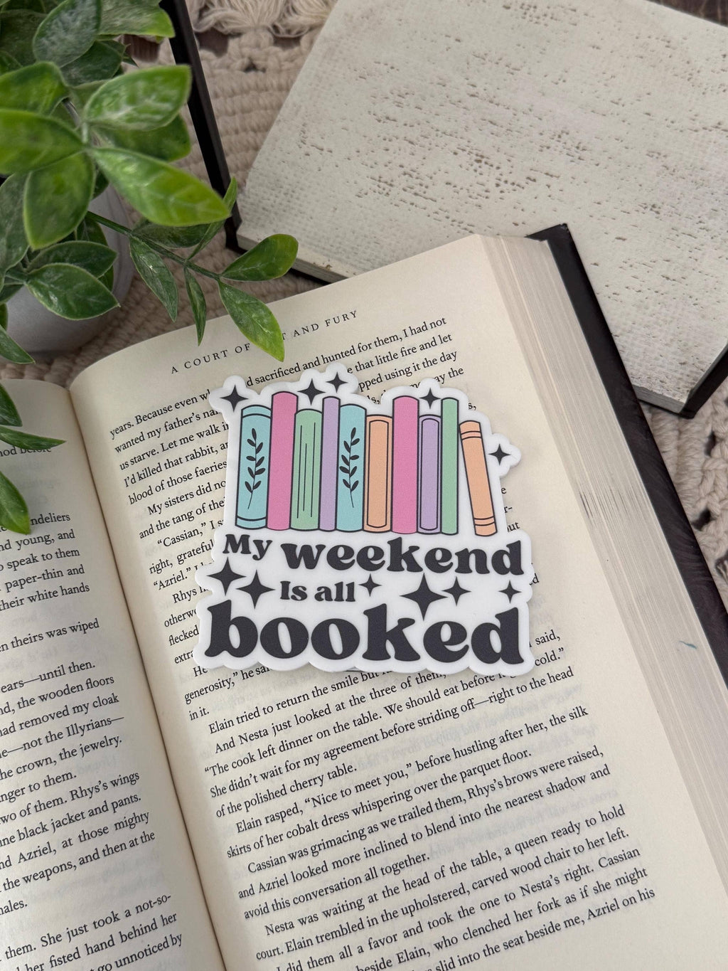 Bookish Shelf Decor for Book Lovers and Readers