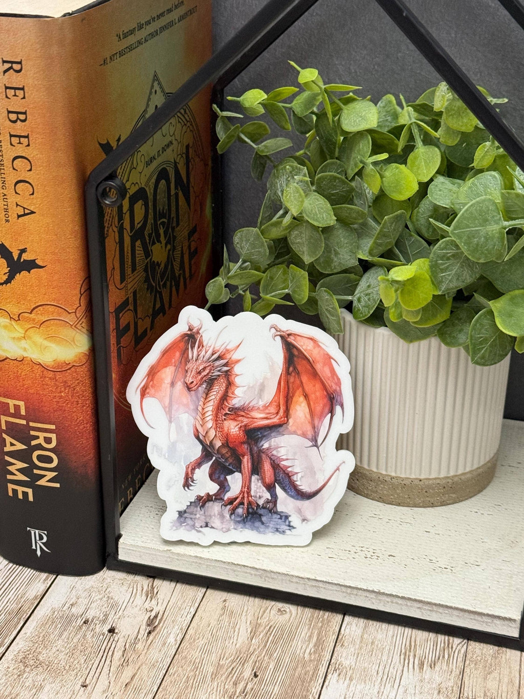 Dragon Rider Bookshelf Decor and Reading Gift