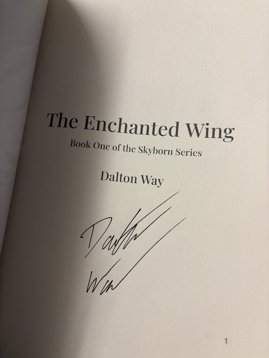 The Enchanted Wing: Book One of the Skyborn Series