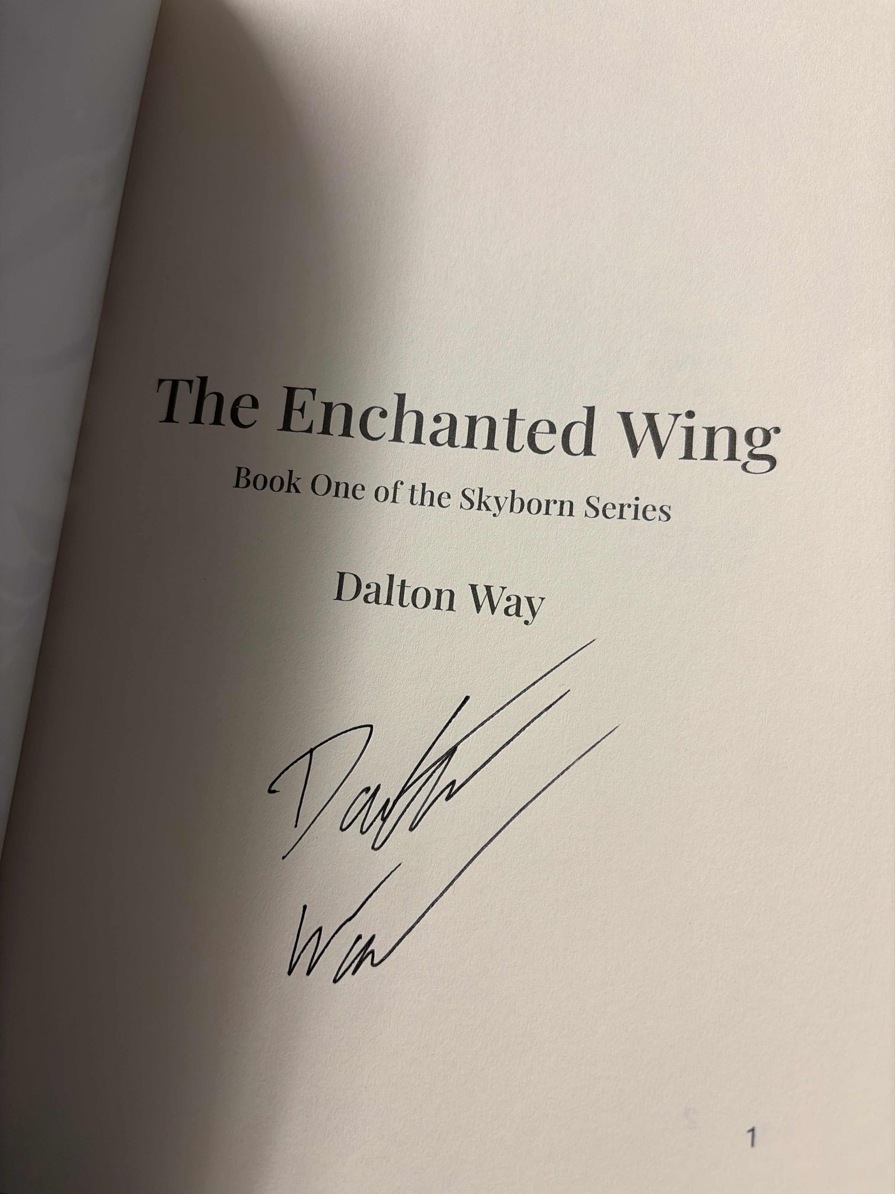 The Enchanted Wing: Book One of the Skyborn Series